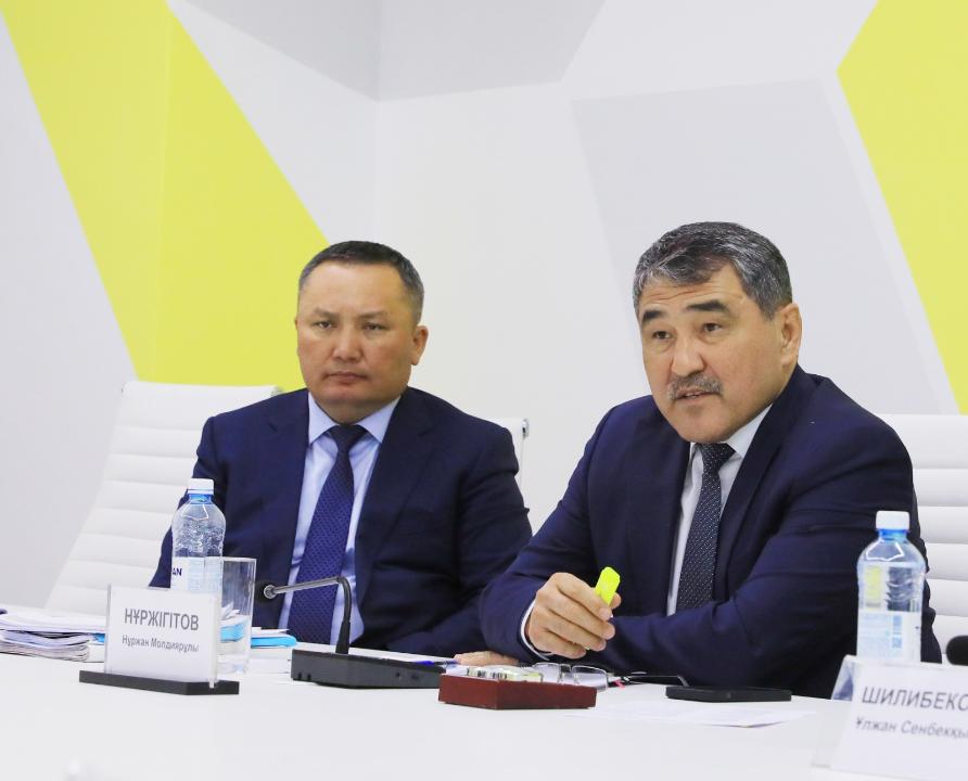 Инвестициялық штабта жаңартылатын энергетика бойынша жобалар қаралды