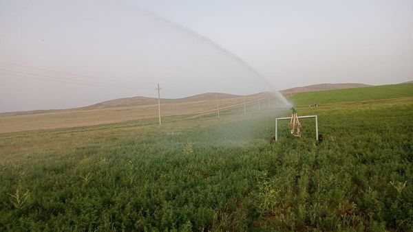 АУЫЛДЫҚТАР ЖАҢБЫРЛАТЫП СУҒАРУ ТӘСІЛІН ЕНГІЗЕ БАСТАДЫ