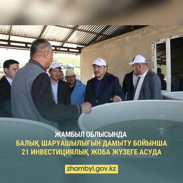 Жамбыл облысында балық саласын дамыту мақсатында 21 инвестициялық жоба іске асырылуда