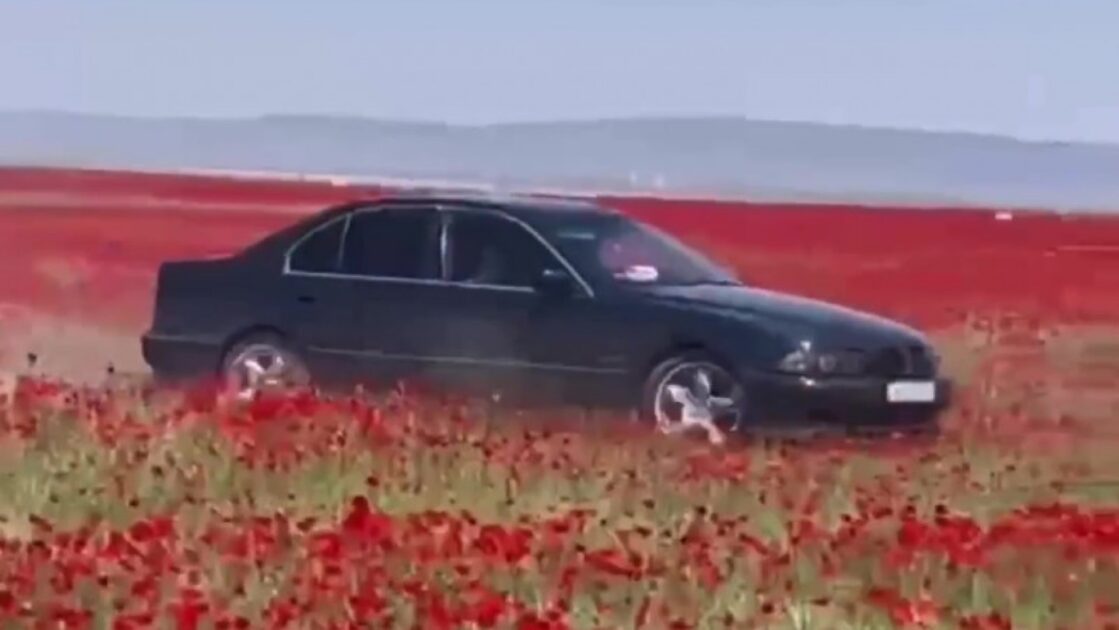 Алматы маңындағы көкнәр алқабында жүрген BMW видеоға түсіп қалды