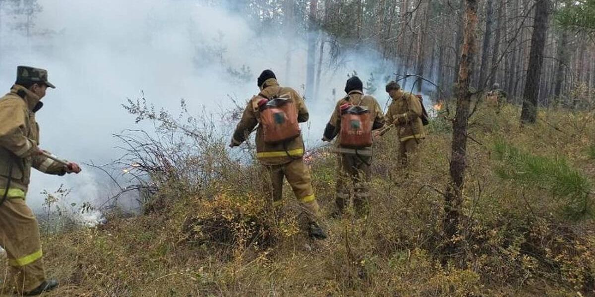 Абай облысындағы өрт: Даниал Ахметов жауапқа тартыла ма?