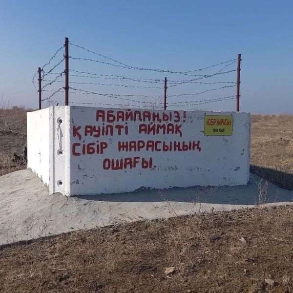 Мойынқұм ауданындағы "Сібір жарасы" ошақтары туралы ақпарат