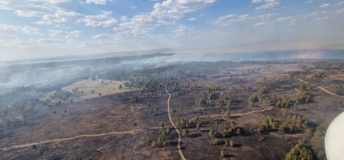 Абай облысындағы орман өртінің беті қайтты