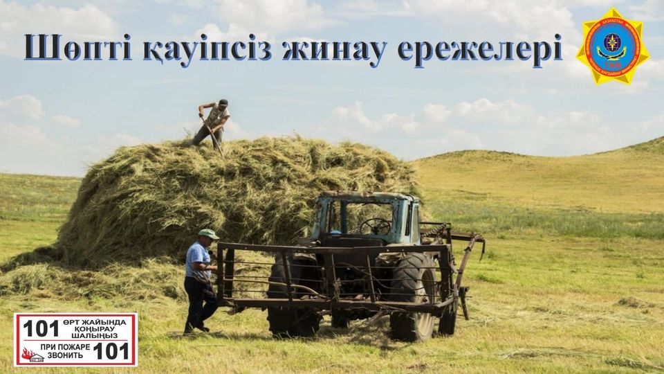 Шөпті қауіпсіз жинау ережелері