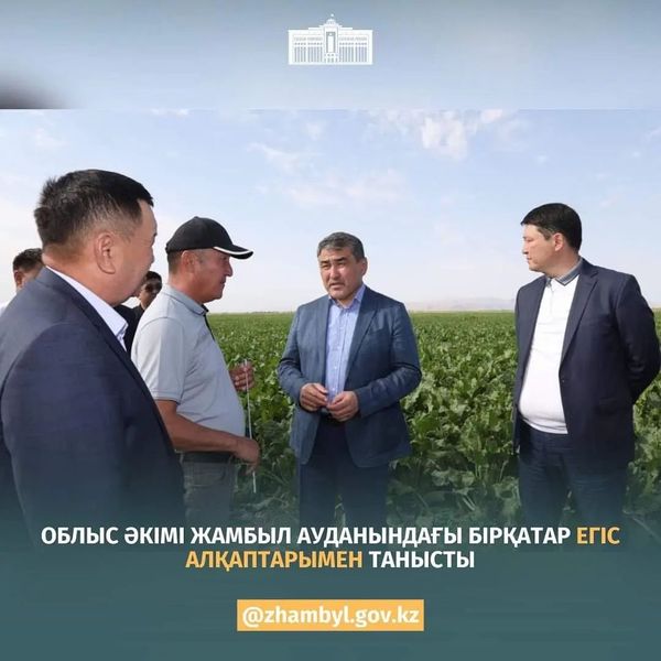 🔰Жамбыл облысының әкімі Нұржан Нұржігітовтің Жамбыл ауданына жұмыс сапары Шайқорық ауылындағы «Н.Шегебаев» шаруа қожалығының жүгері егін алқабын көруден басталды.