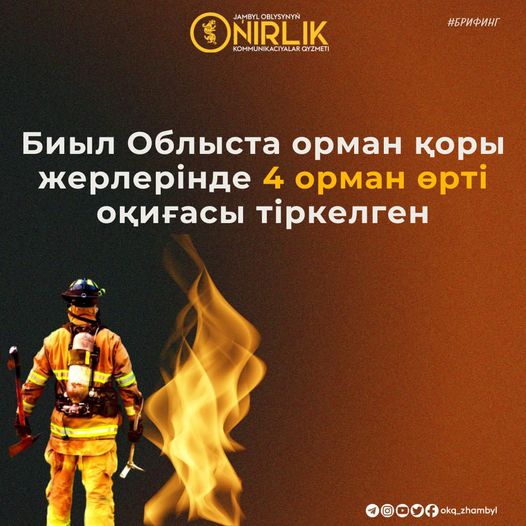 Биыл Облыста орман қоры жерлерінде 4 орман өрті оқиғасы тіркелген