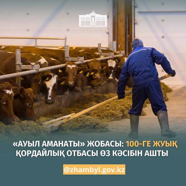 «Ауыл аманаты» жобасы: 100-ге жуық қордайлық отбасы өз кәсібін ашты