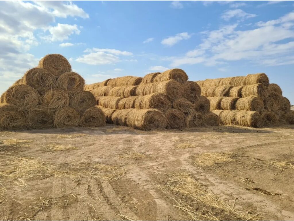 width=
